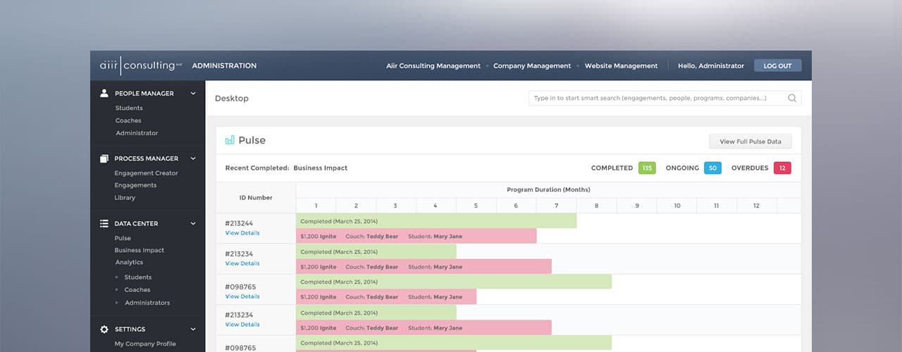AIIR Consulting Overview
